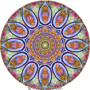 Kaleidoscopic image made from a photo of a juvenile drum ... by Patrick Reardon 